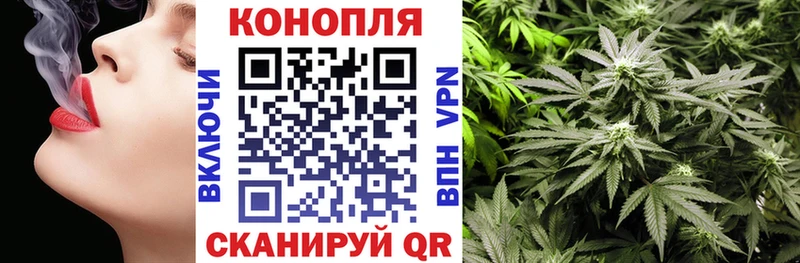 Канабис гибрид  дарнет шоп  Багратионовск 